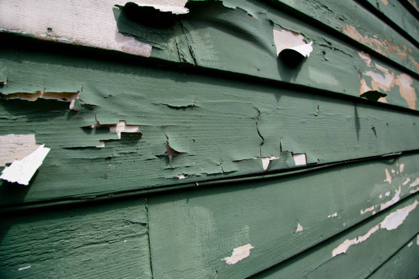 Best Weatherproofing and Sealing  in Monmouth Junction, NJ