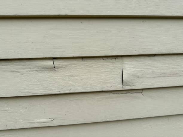 Best Siding for New Construction  in Monmouth Junction, NJ